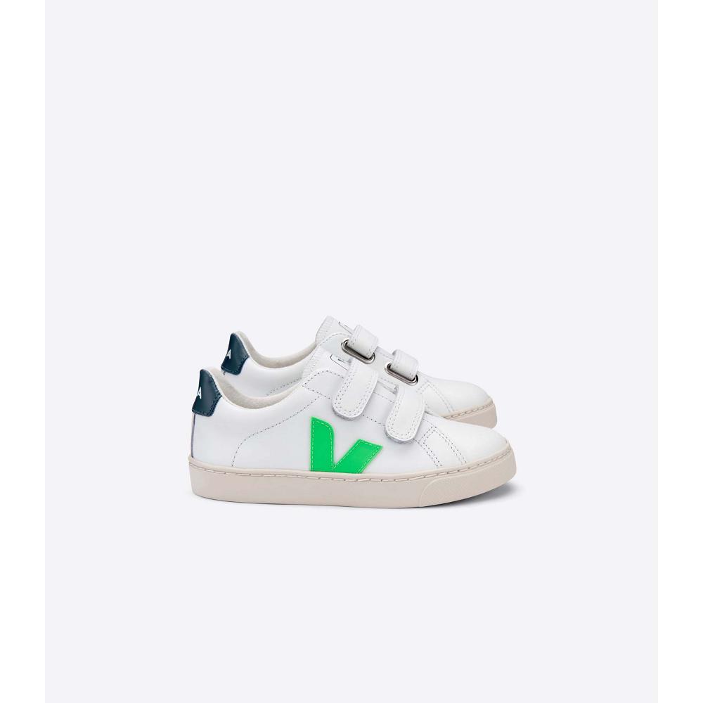 Veja ESPLAR LEATHER Tenisky Detske White/Green | SK 816EBC